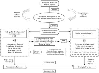 Spatial differences, distribution dynamics and driving factors of the synergy between marine ecological security and high-quality development in three major marine economic circles of China